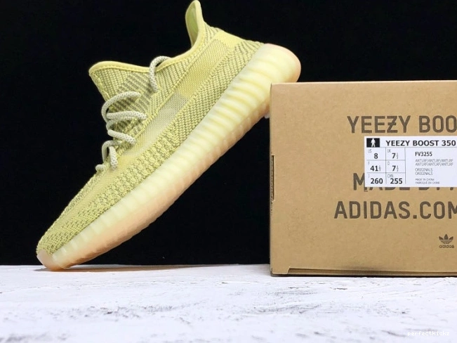 Adidas Antlia V2 Reflective FV3255 Yeezys 350 0804